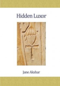 Buchcover Hidden Luxor