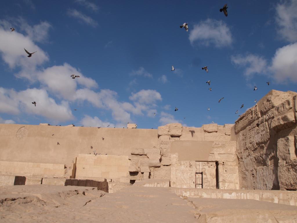 Tauben-Population am Medinet-Habu Tempel