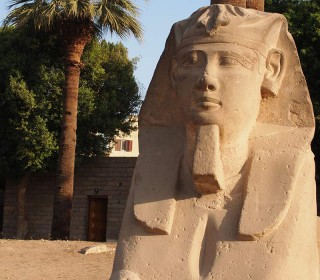 Eine Sphinx in Luxor mit falschem Bart