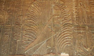Horus im Papyrusdickicht