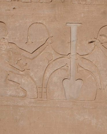 Eine Luftröhre und eine Lunge (zur Verdeutlichung aufgehellt) wurden als Symbol der Vereinigung der beiden Länder abgebildet. Die Lunge hieß auf altägyptische "sema", genau wie das wort für vereinigen. 