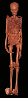 CT Scan von Tutanchamun
