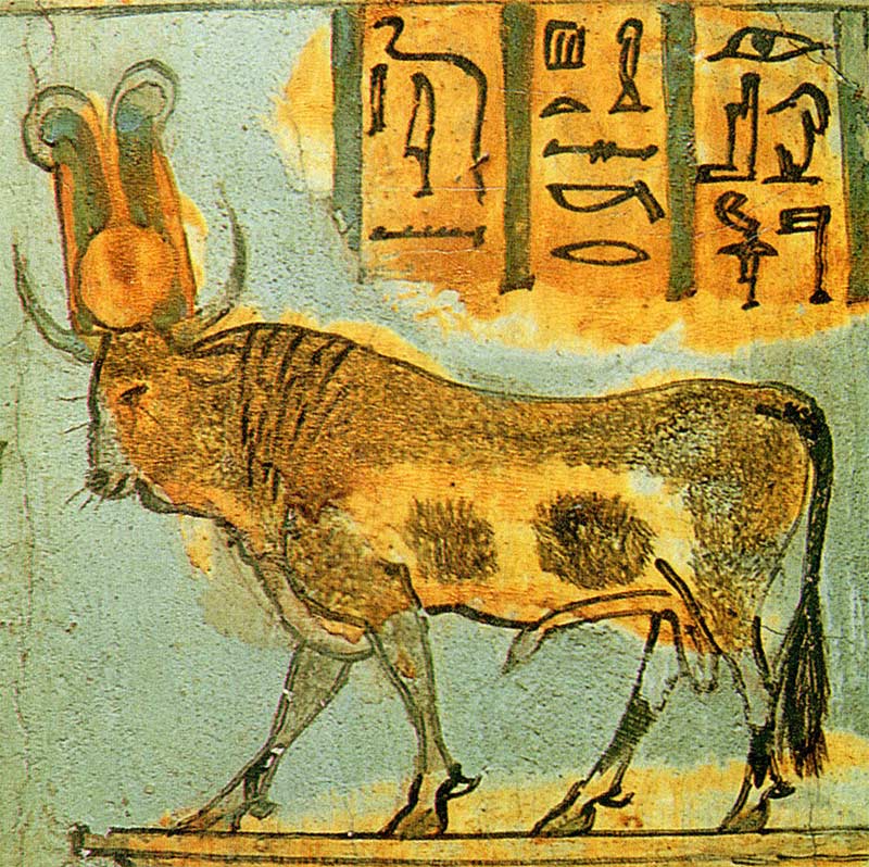 Der heilige Apis-Stier auf einem Sarkophag der 21. Dynastie Bild: Wikimedia Commons